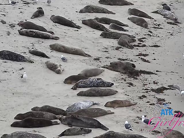 POV style sex adventure with redhead girlfriend Scarlet Skies