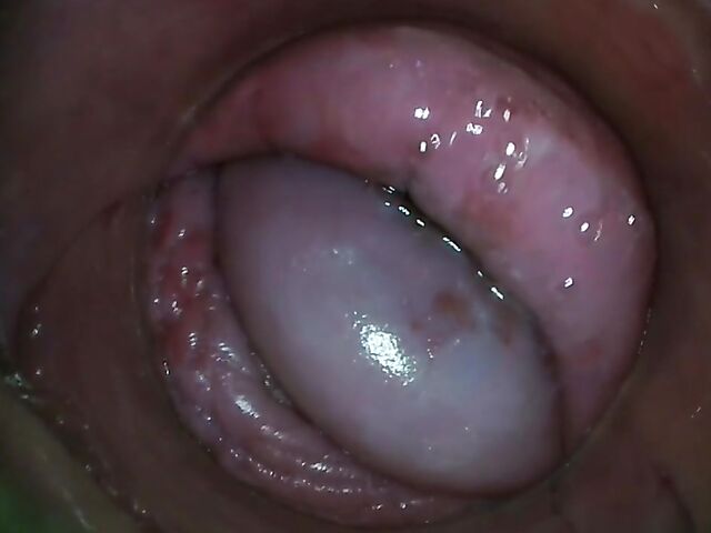 Tiny Tina - Camera inside pussy in the car