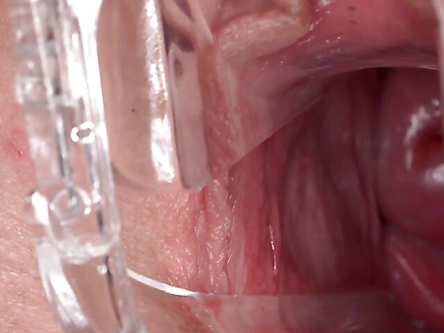 Adorable Sydney Love's wide open pussy with a speculum