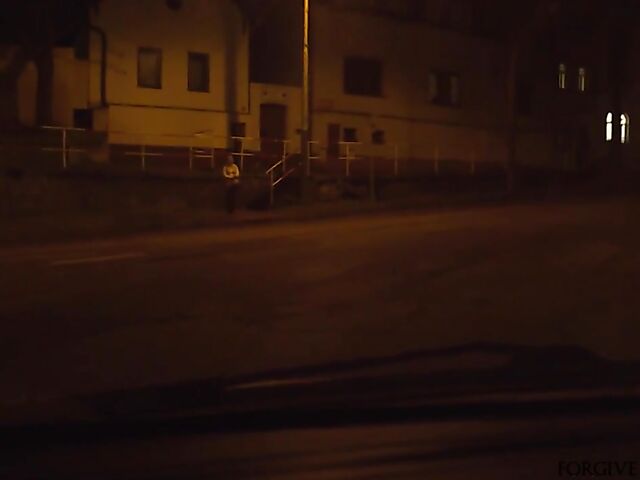 Father fucks MILF slut Lily Joy in the night