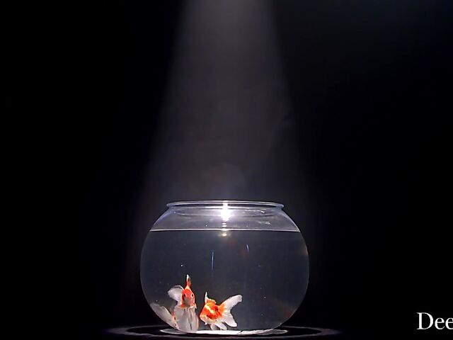 Alina Ali & Skye Blue - Kinky interracial threesome dream