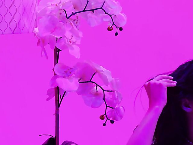 Aubree Valentine - Classy babe masturbation solo