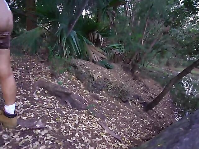 Outdoor sex adventure with big booty babe Vivian Taylor