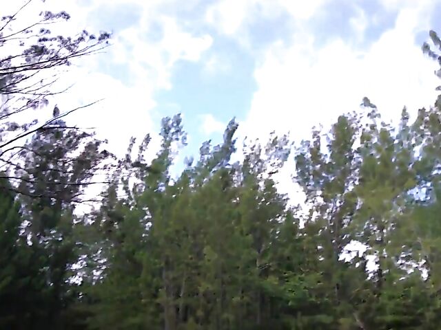 Outdoor sex adventure with big booty babe Vivian Taylor