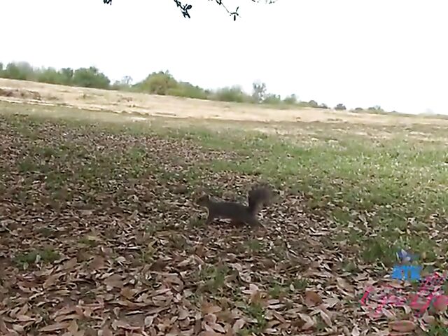 Virtual date with naughty ATK girlfriend Lily Adams