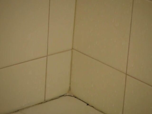 Bree Melbourne - Aussie girl's shower dildo