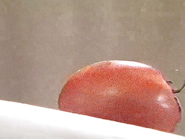 XXX vintage porn for your entertainment