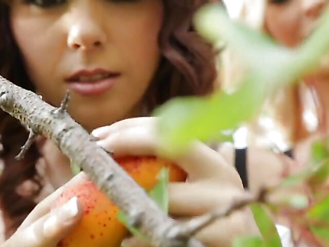 French maid anal with Anissa Kate, Lola Reve, Sylvia Laurent and Ariel Rebel