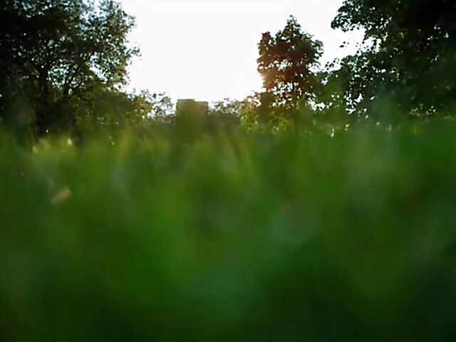 French maid anal with Anissa Kate, Lola Reve, Sylvia Laurent and Ariel Rebel