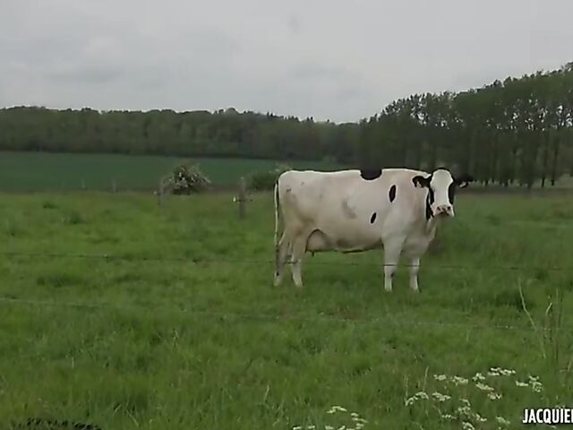 Manon - 21-year-old French BBW anal fucked