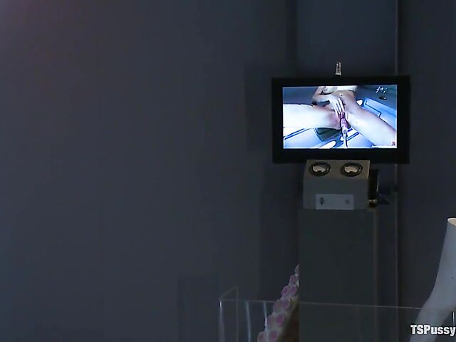 Shemale mistress Joanna Jet fucks her sexy slave girl Rain DeGrey in the ass