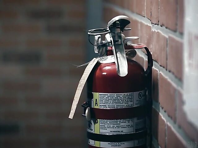 Alex Coal - Brunette interracial black cock passion