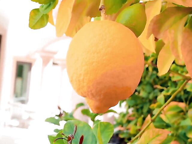 Penthouse pet Tru Kait posing and showing her private parts