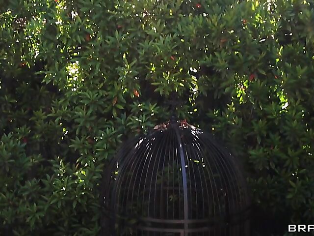 Big boobs anal threesome outdoors with Savannah Bond and Angela White