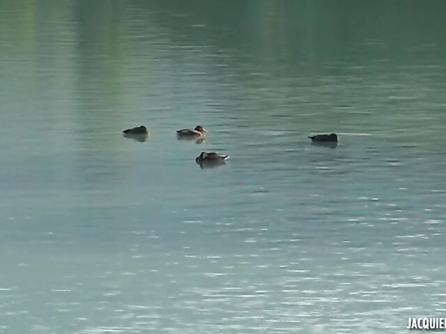 Outdoor gangbang with big breasted chubby woman Clara