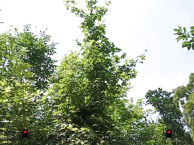 Outdoor quickie in the mountains with shaved brunette Barby Flower