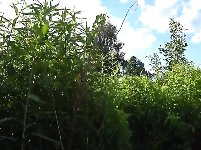 Russian couple Julia and Gleb filming their summertime outdoor sex