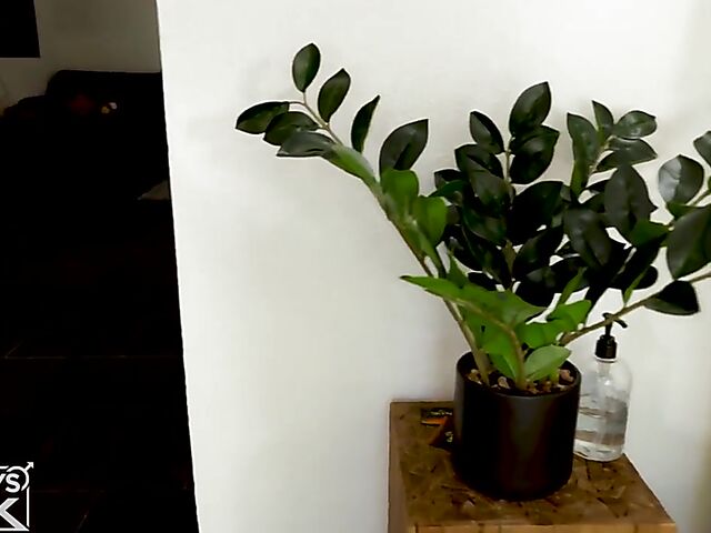 Hot sex for women's eyes with Clark Rogers and Ren Leon