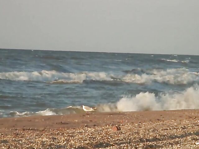 Nudist teen Agnes poses on the beach and takes a dip