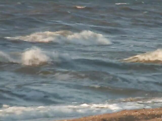 Nudist teen Agnes poses on the beach and takes a dip
