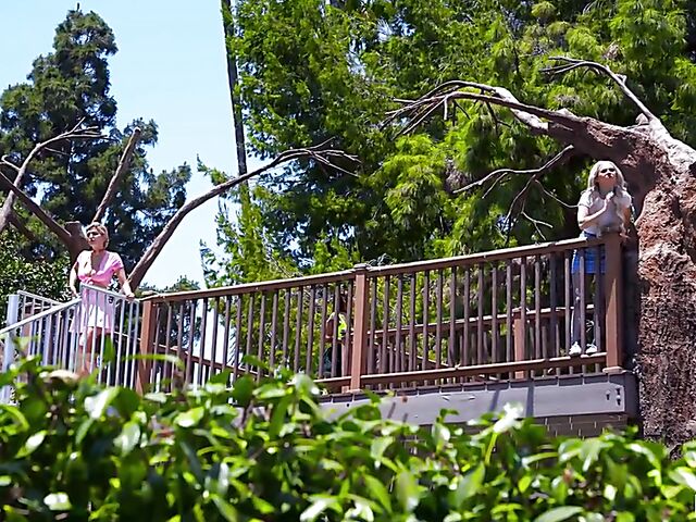 Three girls in fishnets Yumi Sin, Aria Banks and Skye Blue fuck one lucky guy