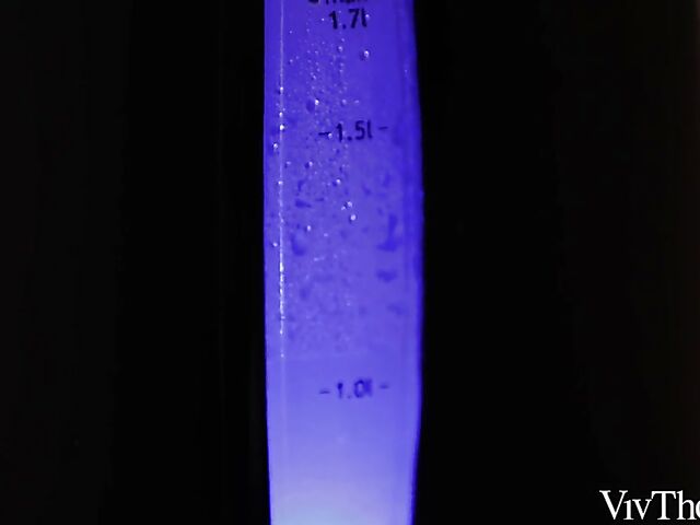 Interracial Viv Thomas lesbian girls Romy Indy and Sybil A