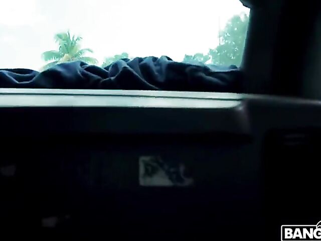 Teen blonde Madison Summers gets picked up and fucked in a van for money