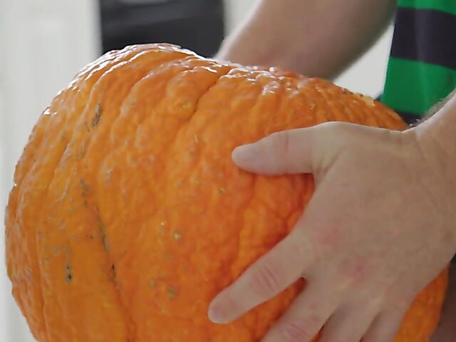 Getting ready for Halloween with big boobs MILF Dee Williams in the kitchen