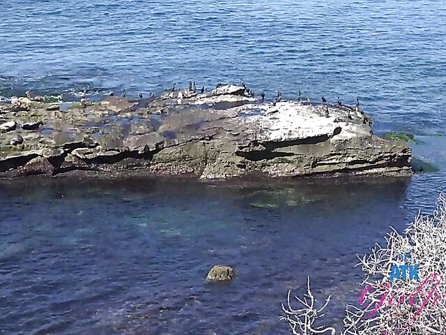 Virtual POV fuck date with Meloni Moon in La Jolla