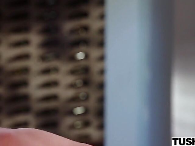 Manuel Ferrara anal drills slender blonde Madison Summers