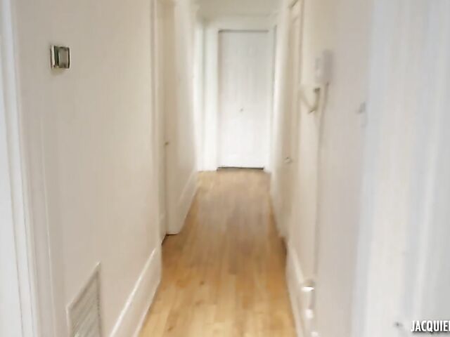 French big ass anal in lingerie and fishnets with Nina