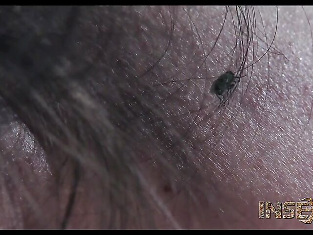 Anal hook in restraints for helpless Hazel Hypnotic