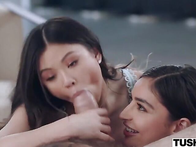 Manuel Ferrara anal FFM session with Lulu Chu and Emily Willis