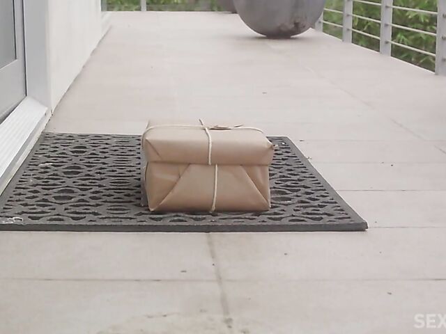 Erotic bathroom masturbation with a vibrator featuring Jillian Janson