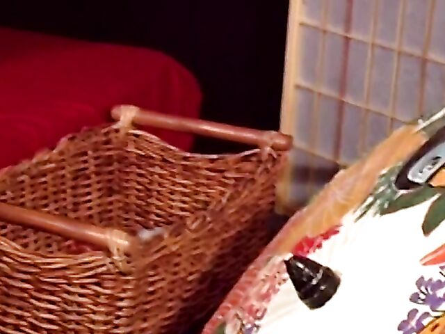 Asian lesbians Jaden and Maxine X love sex toys