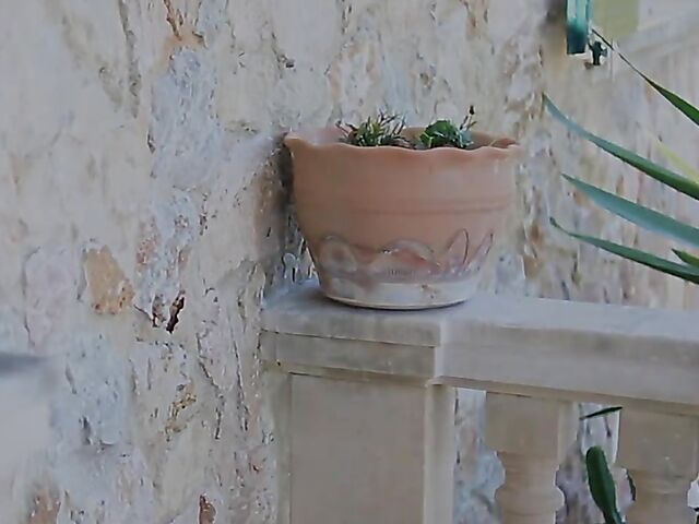 Huge tits blonde in red Kitty Cute let them out