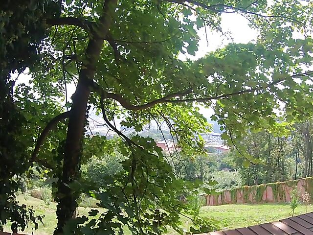 Bad cheerleader threesome POV with Zuzu Sweet