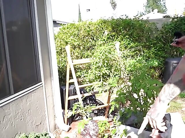 Porn Dude casting couch and cum on feet with Misha Cross