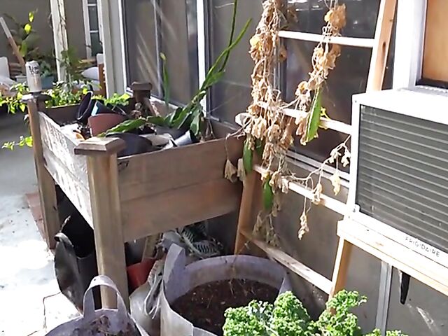 Porn Dude casting couch and cum on feet with Misha Cross