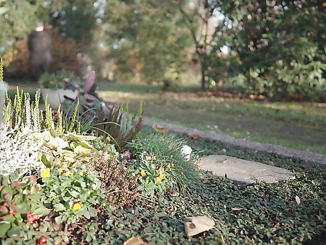 Short haired mature widow Petra picks up a young guy to fuck his hard cock