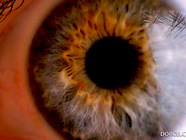 Beautiful euro foursome with hot brunettes Clara Mia and Candie Luciani