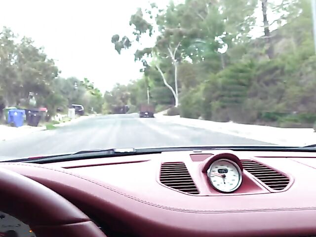 POV hairy girlfriend Pearl Sage takes a cock from your perspective