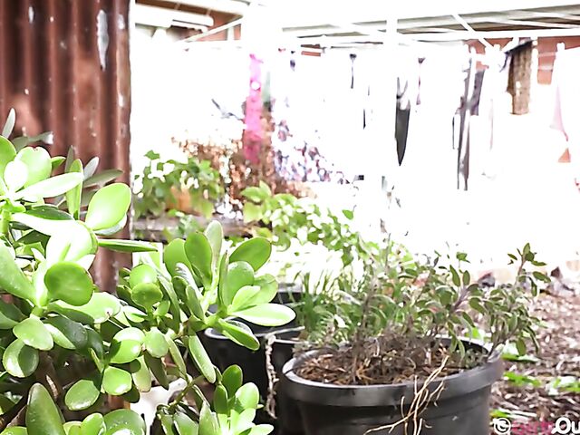 Hairy masturbation with a dildo outdoors featuring Amelia P