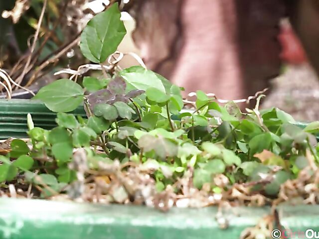 Hairy masturbation with a dildo outdoors featuring Amelia P