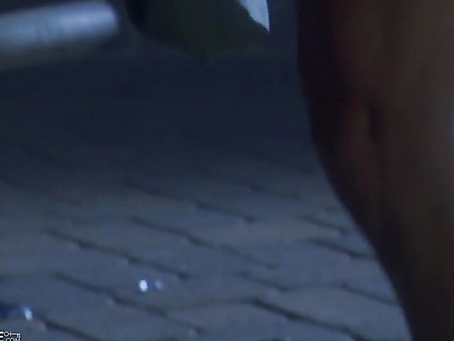 Sexy anal in the dark in the back of a pickup truck with Monique Madison