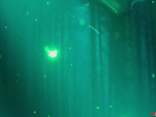 Hot sex in the mystical forest with Rebecca More and Baby Kxtten