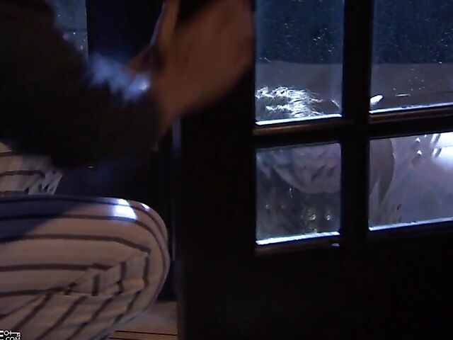 Midnight fuck with his new sex kitten Aiden Starr