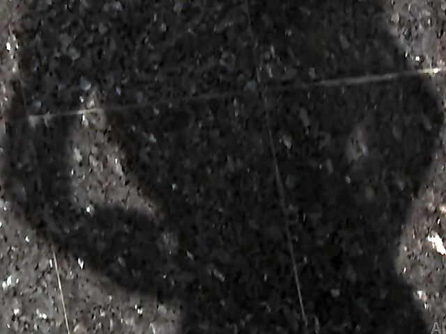 Black on black fucking with beautiful ebony Nadia Jay