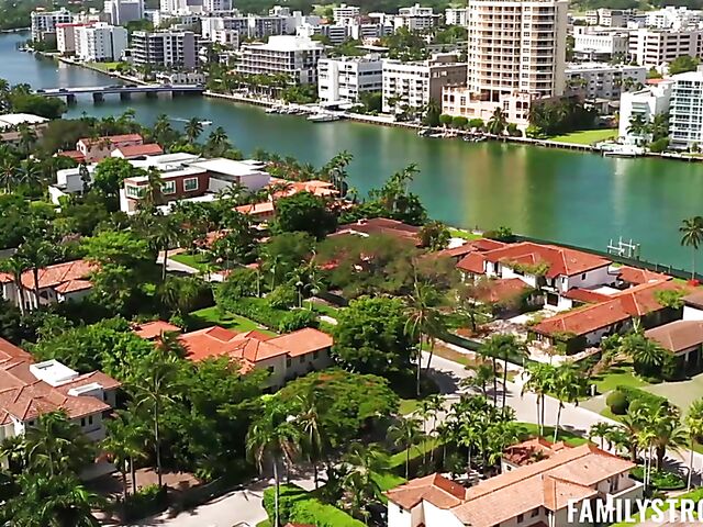 Naked cleaning and FFM threesome in the family with Willow Ryder and Artemisia Love