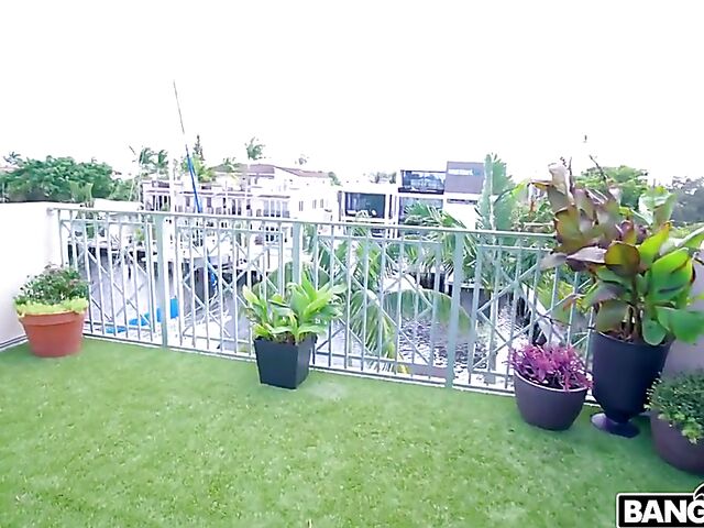 Armani Black loves hard cock between her big wet tits